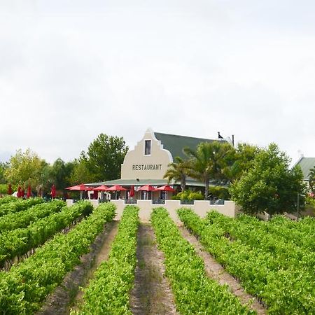 Skilpadvlei Wine Farm Stellenbosch Buitenkant foto