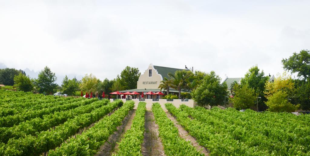 Skilpadvlei Wine Farm Stellenbosch Buitenkant foto