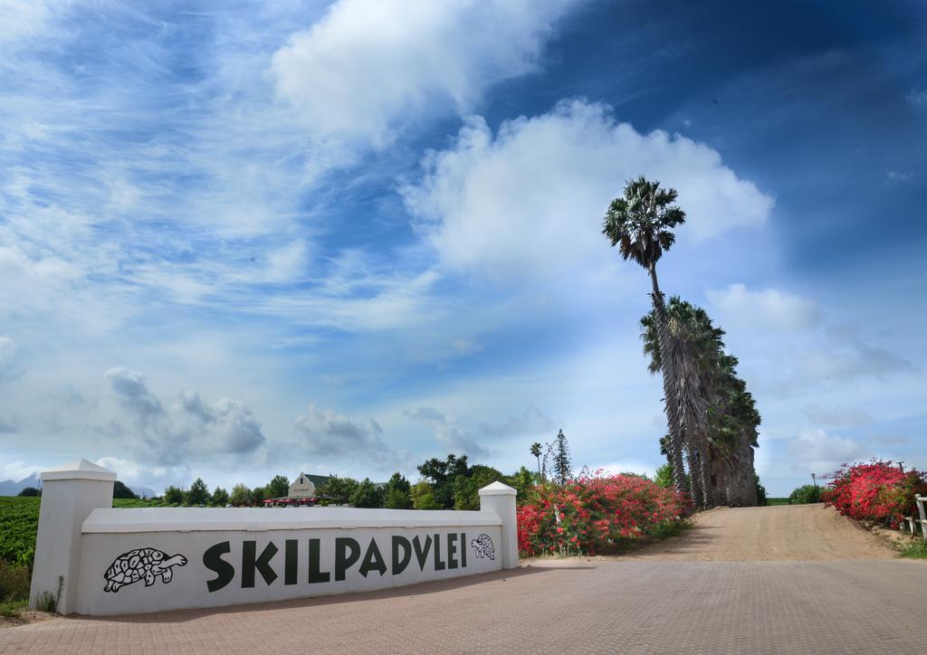 Skilpadvlei Wine Farm Stellenbosch Buitenkant foto