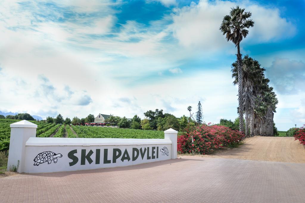Skilpadvlei Wine Farm Stellenbosch Buitenkant foto