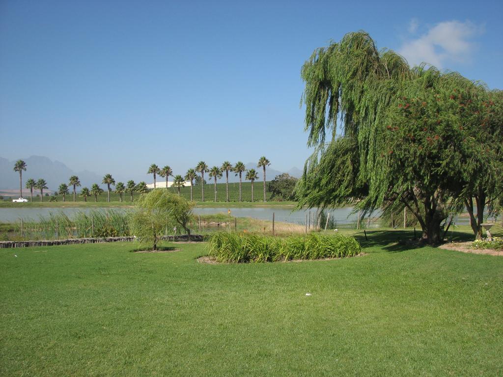 Skilpadvlei Wine Farm Stellenbosch Buitenkant foto